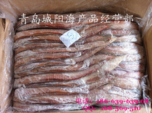 細鱗魚冷凍加工 現(xiàn)代水產(chǎn)品批發(fā)與供應的優(yōu)質(zhì)選擇