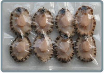 水產(chǎn)品冷凍加工全解析 從優(yōu)質(zhì)鮑魚肉市場(chǎng)看市場(chǎng)趨勢(shì)與規(guī)范