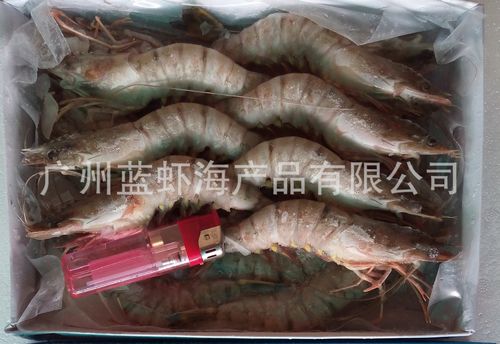 廠(chǎng)家直銷(xiāo)海鮮大量批發(fā) 一手貨源冷凍水產(chǎn)品 越南草蝦19