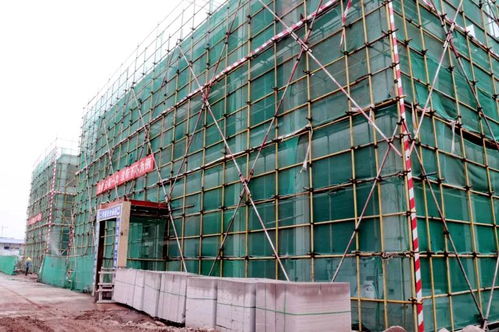 喜訊！龍馬潭大型建材產(chǎn)業(yè)物流港建設(shè)迎來新進(jìn)展